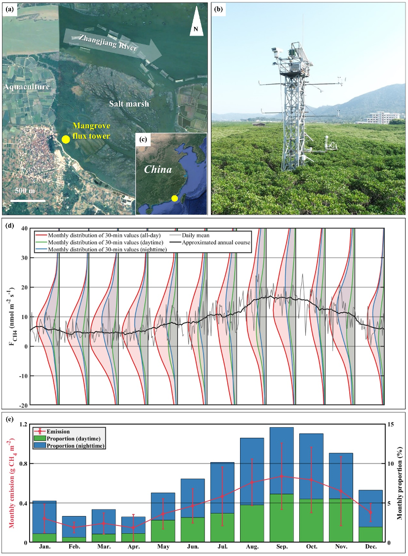 科研进展 | 长时序野外观测揭示红树林湿地甲烷排放的碳汇抵消效应