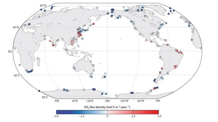 戴民汉团队在Annual Review of Earth and Planetary Sciences发表近海碳通量最新集成研究