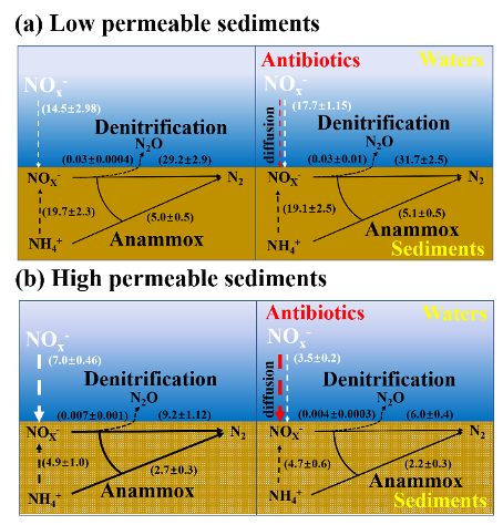 科研进展 | 抗生素对九龙江河口沉积物脱氮有重要影响