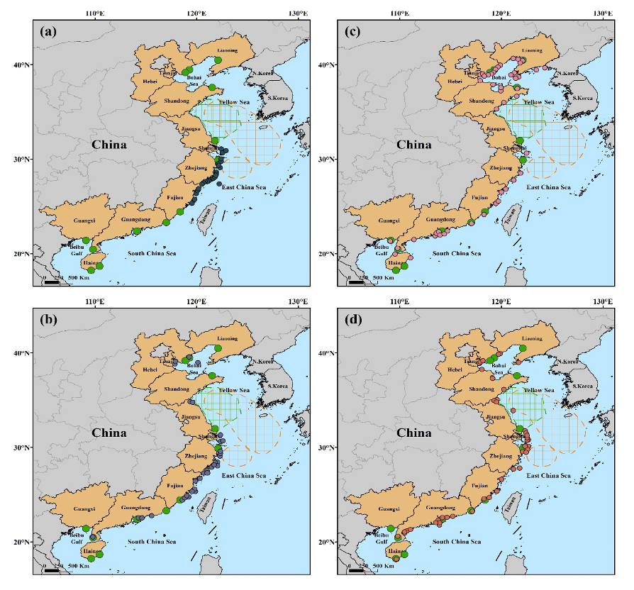 科研进展 | 富营养化和气候变化下中国海域藻华由微藻向大型海藻转变